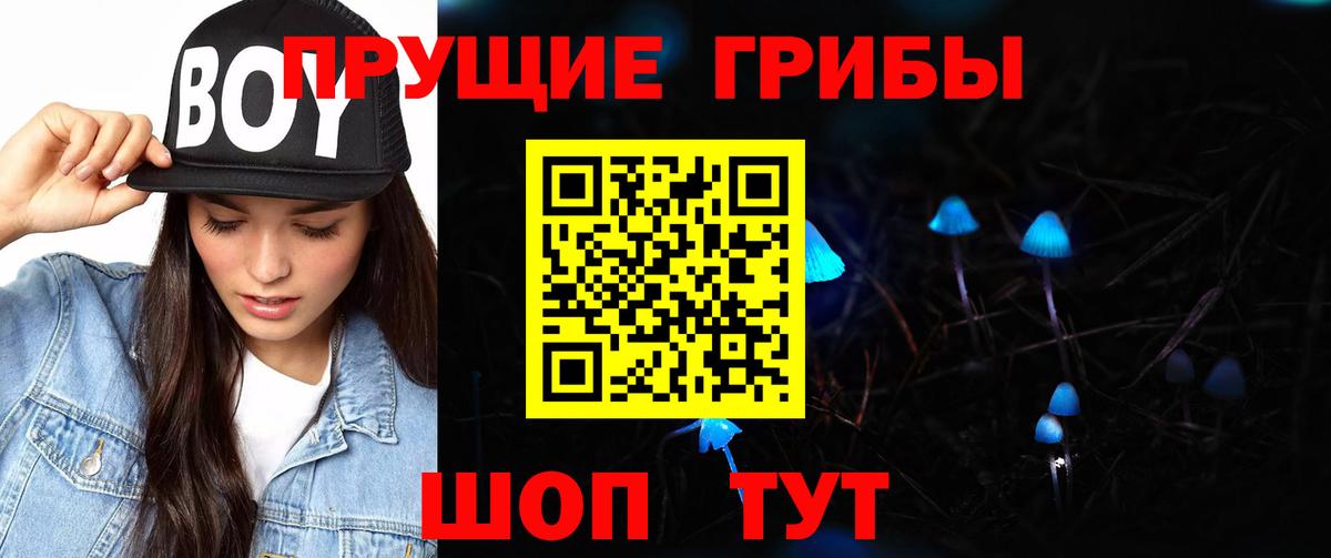 Партизанск  Псилоцибиновые грибы Psilocybe  Галлюциногенные грибы Cubensis  Вход с VPN 